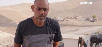 تجمع الحثرورة البدوي قرب الخان الأحمر شرقي القدس يروي تصاعد اعتداءات المستوطنين  في الضفة الغربية